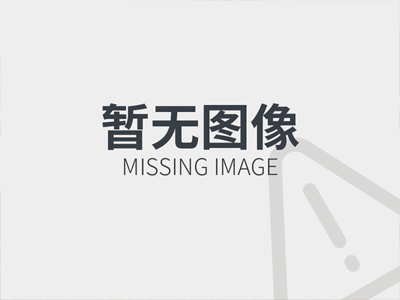 拼多多内部优惠券软件 电动汽车什么牌子质量最好，新能源电动汽车哪个品牌好？